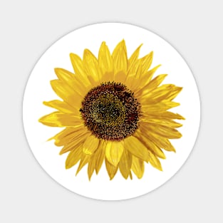 Sunflower Magnet